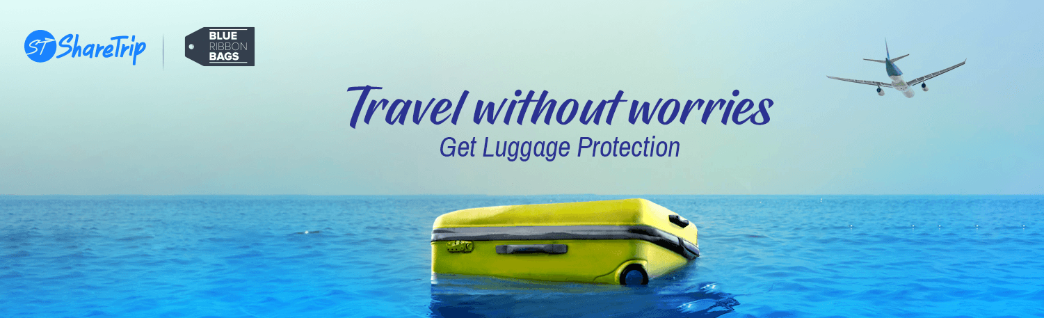 Protect your Baggage with Blue Ribbon Bags