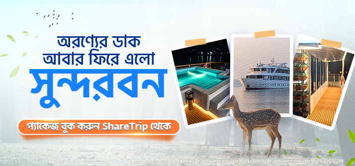 ঘুরে আসুন বাঘের রাজ্য সুন্দরবনে image